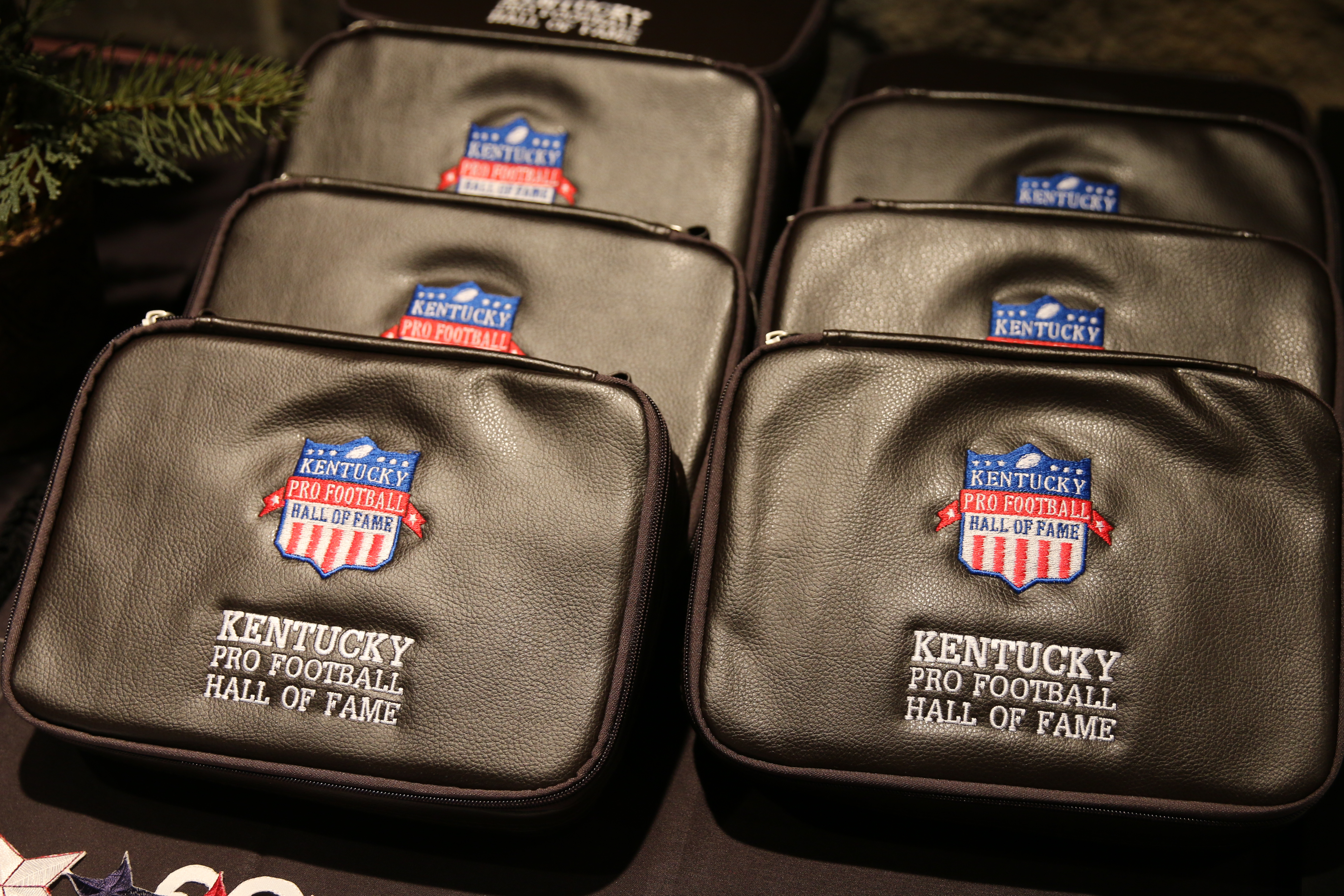 KyProFootballHOF062316RB013